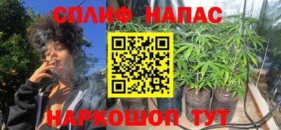 сатива Гуково