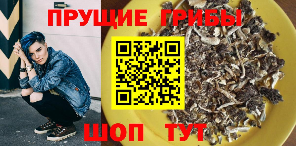 Псилоцибиновые грибы Psilocybe Амурск